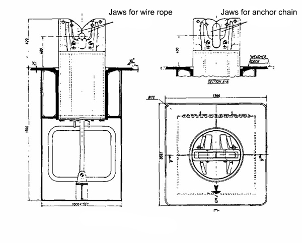 Fork Type Shark Jaw 8759857.jpg Fork Type Shark Jaw 8.jpg